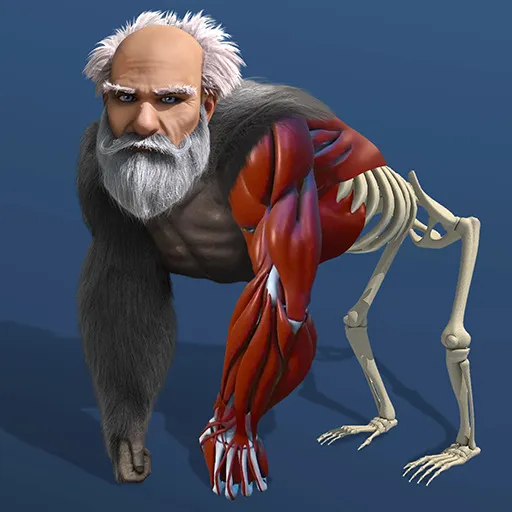 Idle Evolution From Cell to Human Cover